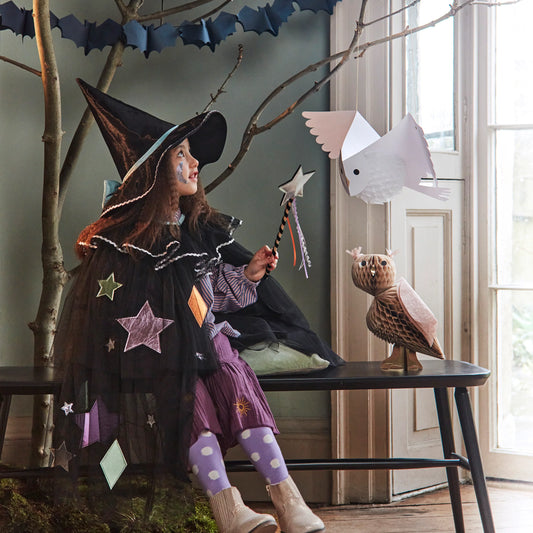 Tulle Applique Witch Cape, Hat, and Wand
