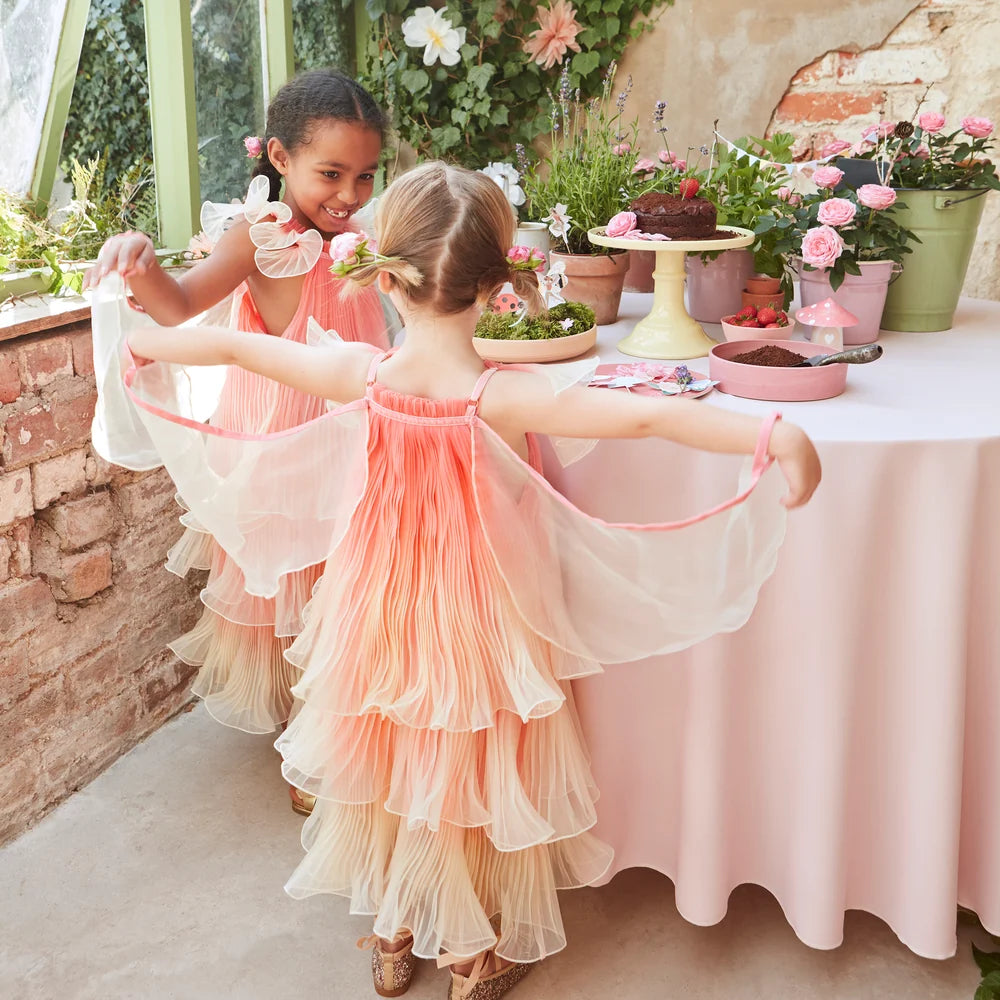 Fairy Costume and Wand - Age 5-6Y