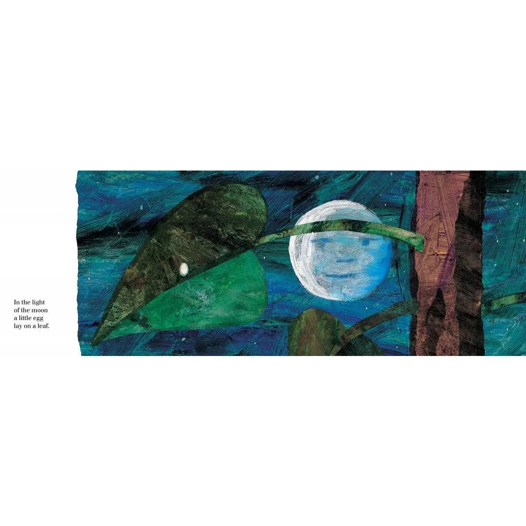 The Very Hungry Caterpillar BB