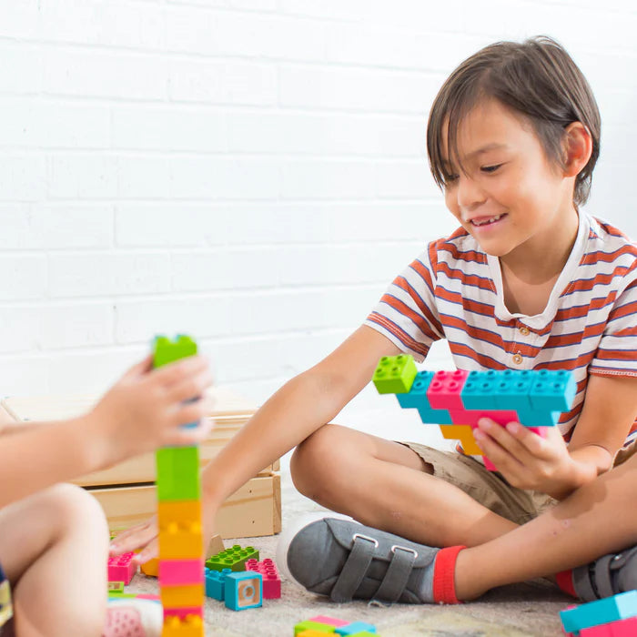 Eco-bricks Color PLUS 25pcs