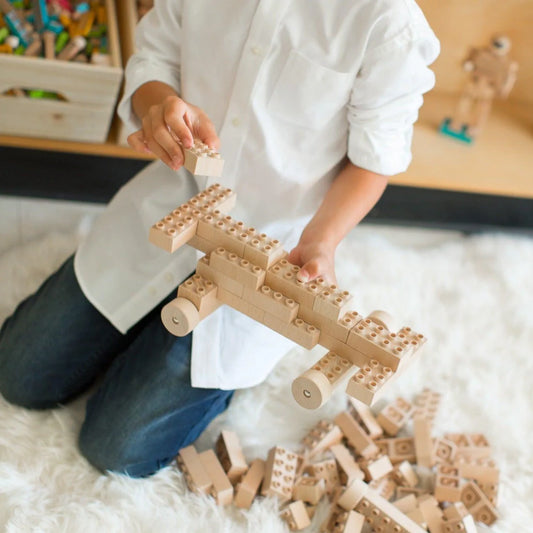 Eco-bricks PLUS 42pcs