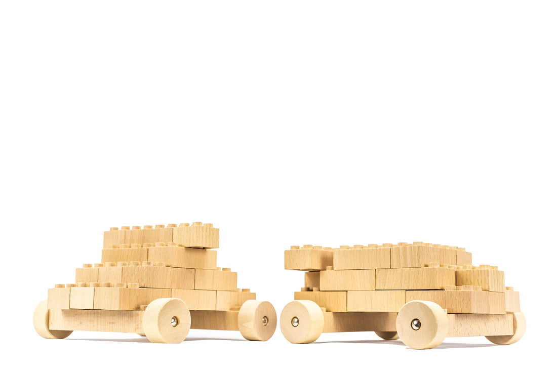 Eco-bricks PLUS 42pcs
