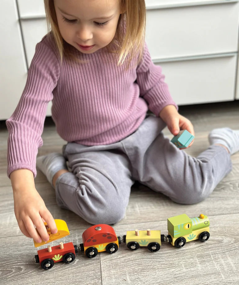 The Dinosaur Train